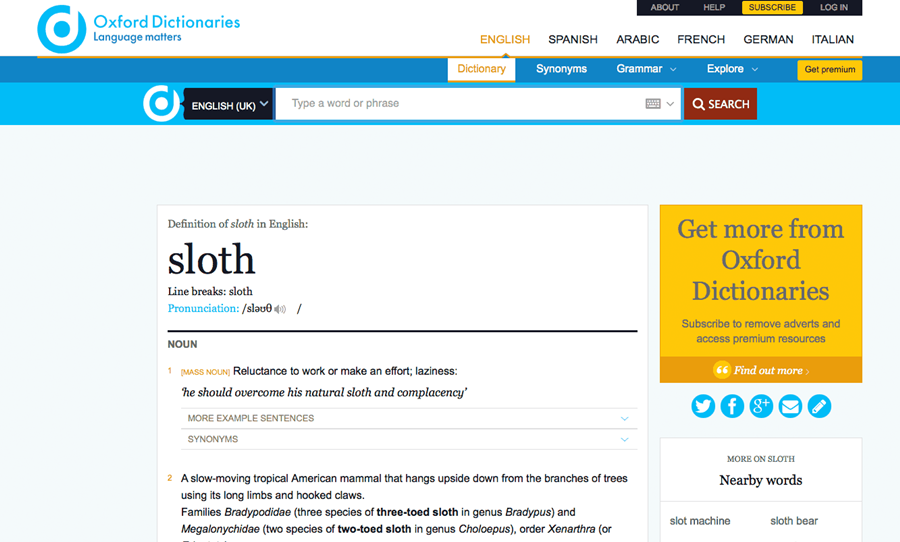 Thiết kế website từ điển tại Hà Nội